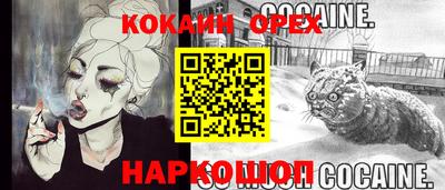 амф Бийск