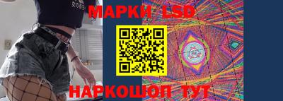 индика Беслан