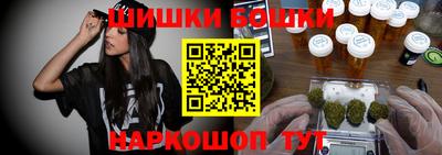 индика Беслан