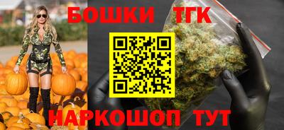 индика Беслан